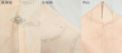 平和屋着物＊夏物　小紋　雪芝紋紗　暈し染め　正絹　逸品　CABI1582th