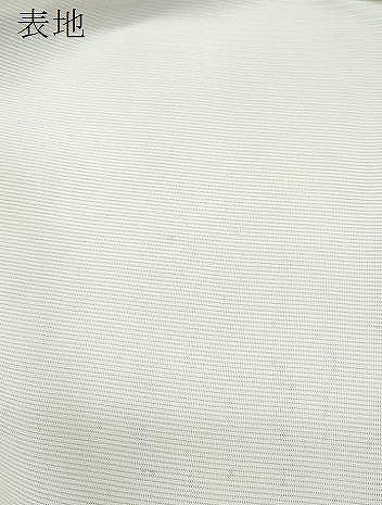 平和屋着物＊夏物　訪問着　絽　手描き　紫陽花　正絹　逸品　CABI1589th