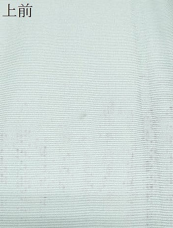 平和屋着物＊夏物　訪問着　絽　立波休み鳥舟文　金彩　正絹　逸品　CABI1593th