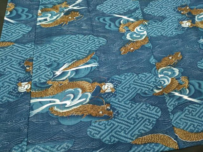 平和屋着物■男性　長襦袢　無双仕立て　立波雲取り文　龍　正絹　逸品　CABI1707oy