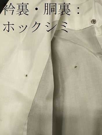 平和屋着物■本場大島紬　雲取り文　正絹　逸品　未使用　CABI1710oy