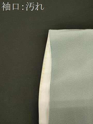 平和屋着物■豪華色留袖　風景松文　暈し染め　正絹　逸品　CABI1818oy
