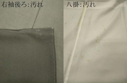 平和屋着物■豪華黒留袖　作家物　駒刺繍　花車文　金彩　正絹　逸品　CABI1841oy