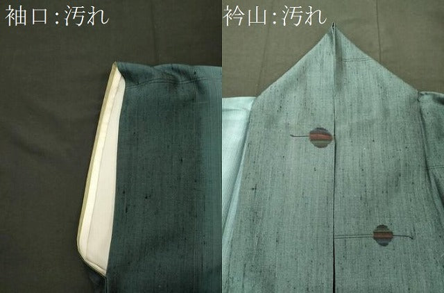 平和屋着物■上質な紬　丸文　背抜き仕立て　正絹　逸品　CABI1858oy