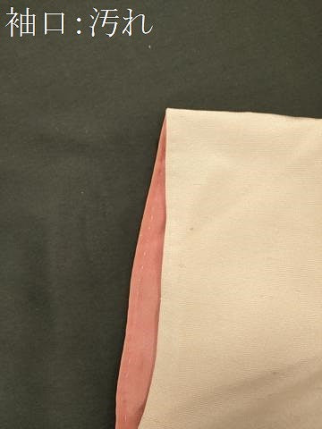 平和屋着物■訪問着　御召縮緬地　流線花鳥文　暈し染め　金彩　正絹　逸品　CABI1884oy