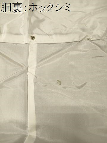 平和屋着物■本場大島紬　枝花文　正絹　逸品　未使用　CABI1995oy