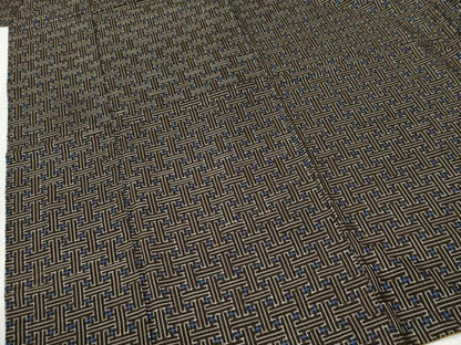 平和屋着物●本場大島紬　龍郷絣　秋名バラ　正絹　逸品　CABI2036yc