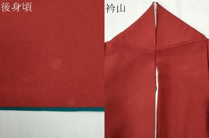 平和屋着物●豪華振袖　舞桜文　正絹　逸品　CABI2237yc