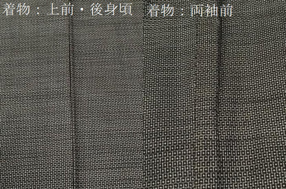 平和屋着物●男性　本場大島紬　アンサンブル　100亀甲　総詰め　羽裏：一富士二鷹三茄子　正絹　逸品　CABI2277yc