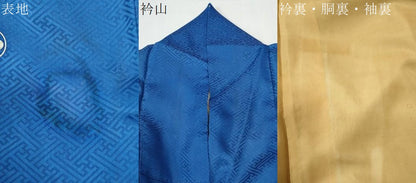 平和屋着物●アンティーク　大正ロマン　色留袖　牡丹　暈し染め　正絹　逸品　CABI2369yc