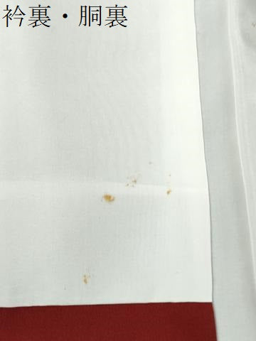 平和屋着物●絲藝苑　上島洋山　海草染　色留訪問着　紬地　花蝶文　黒地　金銀糸　ロング丈　正絹　逸品　未使用　CABI2435yc