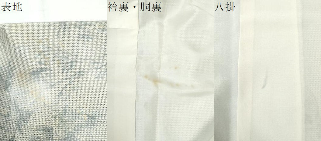 平和屋着物●本場大島紬　訪問着　作家物　手描き　100亀甲　総詰め　雀　草木文　正絹　逸品　CABI2509yc
