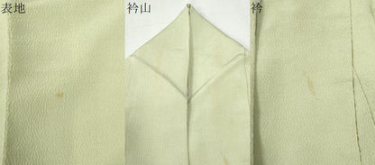 平和屋着物●訪問着　ろうけつ染　竹並び草木文　鬼しぼ縮緬　正絹　逸品　CABI2535yc