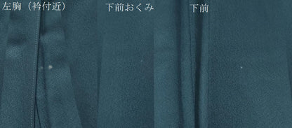 平和屋着物●豪華色留袖　破れ色紙吉祥更紗草花文　金彩　正絹　逸品　CABI2566yc