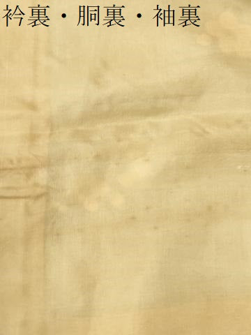 平和屋着物●上質な小紋　地紋起こし　枝梅文　暈し染め　正絹　逸品　CABI2623yc