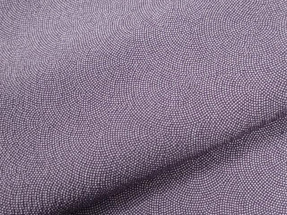 平和屋着物●江戸小紋　鮫小紋柄　ロング丈　正絹　逸品　CABI2633yc