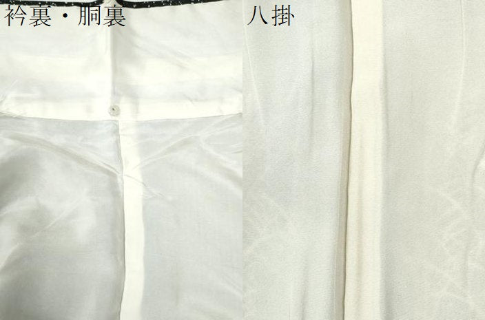 平和屋着物●訪問着　草木文　黒地　正絹　逸品　CABI2654yc