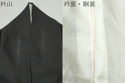 平和屋着物●訪問着　流水草花文　暈し染め　黒地　金彩　正絹　逸品　CABI2725yc