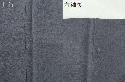 平和屋着物●上質な色無地　藤煤竹色　鬼しぼ縮緬　正絹　逸品　CABI2978yc