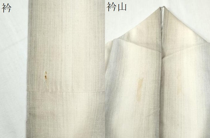 平和屋着物●上質な紬　背抜き仕立て　間道　正絹　逸品　CABI3116yc