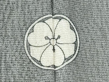 平和屋着物●上質な色無地　杢目地紋　薄鈍色　正絹　逸品　CABI3421yc