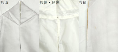 平和屋着物●訪問着　休み鳥枝花文　暈し染め　正絹　逸品　CABI3423yc