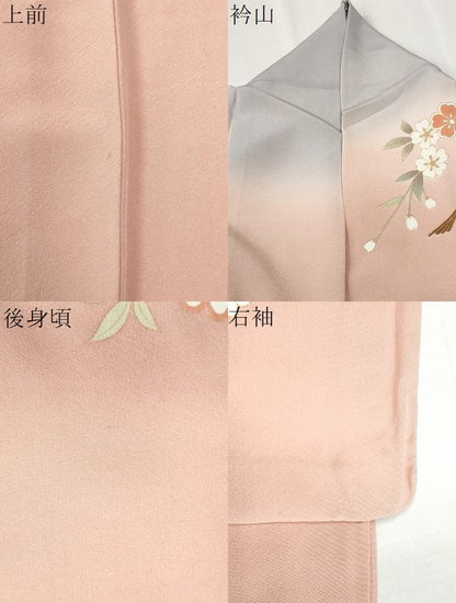 平和屋着物●訪問着　作家物　エ霞扇面網目草花文　暈し染め　金彩　ロング丈　正絹　逸品　CABI3442yc