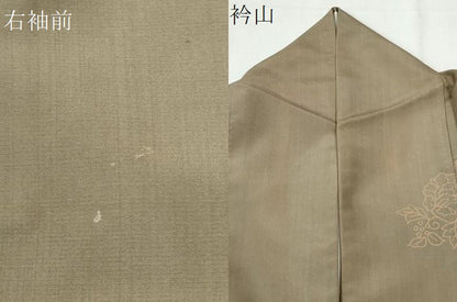 平和屋着物●訪問着　本場縞大島紬　刺繍　更紗花唐草文　正絹　逸品　CABI3577yc