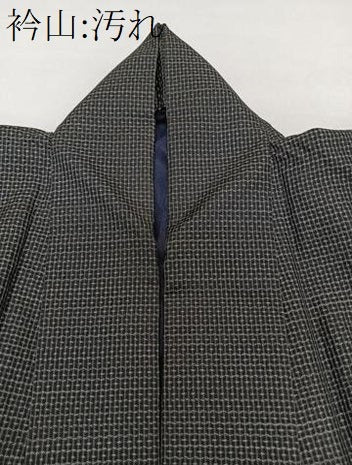 平和屋着物■男性　本場大島紬　80亀甲　総詰め　正絹　逸品　CABI3613xi