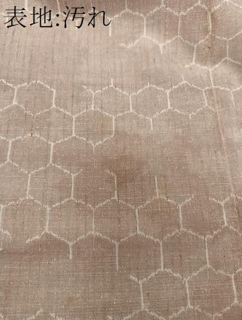 平和屋着物■上質な紬　亀甲文　正絹　逸品　CABI3616xi