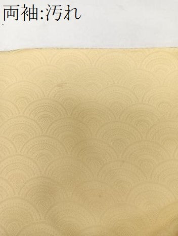 平和屋着物■訪問着　花車地紋　正絹　逸品　CABI3619xi