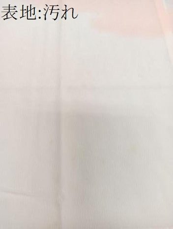 平和屋着物■長襦袢　無双仕立て　雲文　正絹　逸品　CABI3649xi