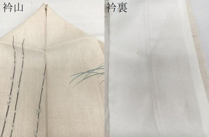 平和屋着物＊夏物　訪問着　紗紬　枝蕾草文　正絹　逸品　CABI3677xi