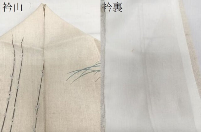 平和屋着物＊夏物　訪問着　紗紬　枝蕾草文　正絹　逸品　CABI3677xi