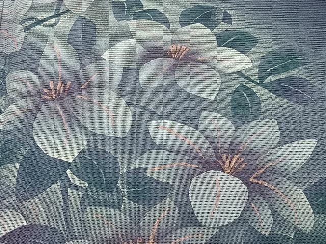 平和屋着物＊夏物 訪問着 絽 枝草花文 暈し染め 正絹 逸品 CABI3681xi