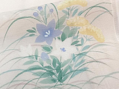 平和屋着物＊夏物 訪問着 絽 手描き 草花文 正絹 逸品 CABI3690xi