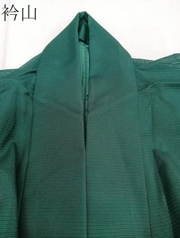 平和屋着物＊夏物　訪問着　絽　舞蝶文　金彩　洗える着物　CABI3695xi