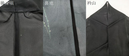 平和屋着物＊夏物　訪問着　絽　枝花文　黒地　洗える着物　CABI3700xi
