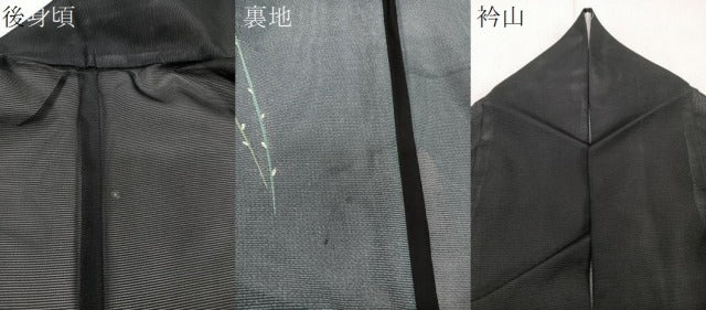 平和屋着物＊夏物　訪問着　絽　枝花文　黒地　洗える着物　CABI3700xi