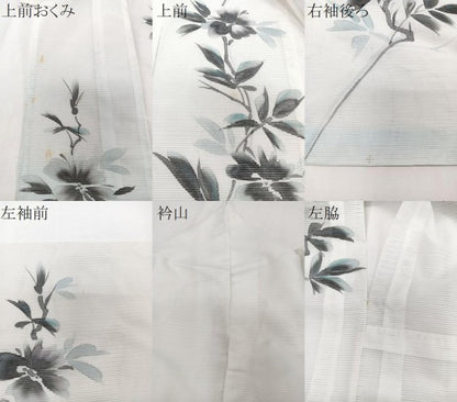 平和屋着物＊夏物　訪問着　絽　手描き　枝草花文　洗える着物　CABI3705xi