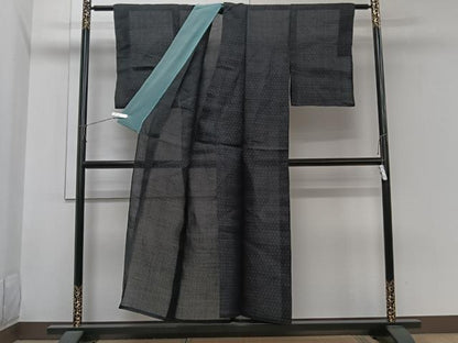 平和屋着物＊夏物　上布　間道　麻　逸品　CABI3717xi