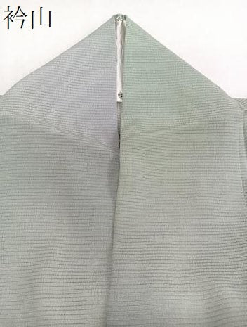 平和屋着物＊染色作家　斉藤三才　夏物　小紋　絽　霞文　正絹　逸品　CABI3723xi