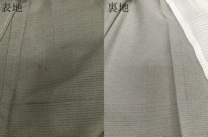 平和屋着物＊夏物　江戸小紋　絽　鮫小紋柄　正絹　逸品　未使用　CABI3725xi