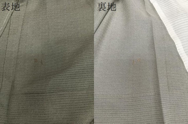 平和屋着物＊夏物　江戸小紋　絽　鮫小紋柄　正絹　逸品　未使用　CABI3725xi