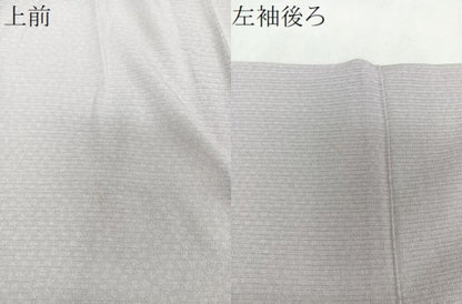 平和屋着物＊夏物　江戸小紋　絽縮緬　鮫小紋柄　両面染　正絹　逸品　CABI3726xi
