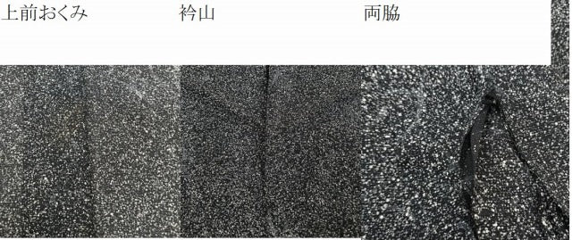 平和屋着物＊夏物　小紋　絽　草花文　たたき染め　正絹　逸品　CABI3739xi