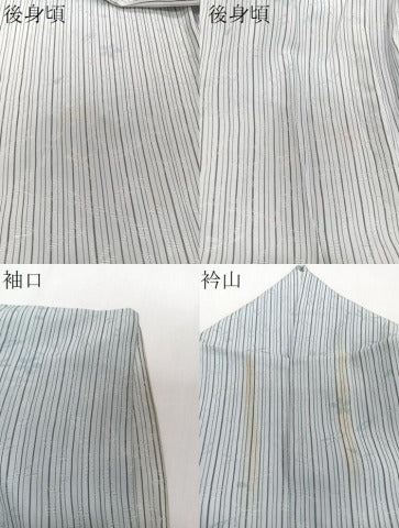 平和屋着物＊夏物　小紋　捩り織　縞花文　蜻蛉　正絹　逸品　CABI3741xi