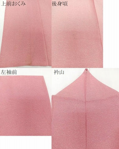 平和屋着物＊夏物　江戸小紋　絽　小花尽くし　正絹　逸品　CABI3768xi