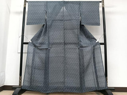 平和屋着物＊夏物　琉球絣　夏琉球 　正絹　逸品　未使用　CABI3772xi