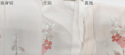 平和屋着物＊夏物　訪問着　絽　枝草花文　金彩　正絹　逸品　CABI3791xi